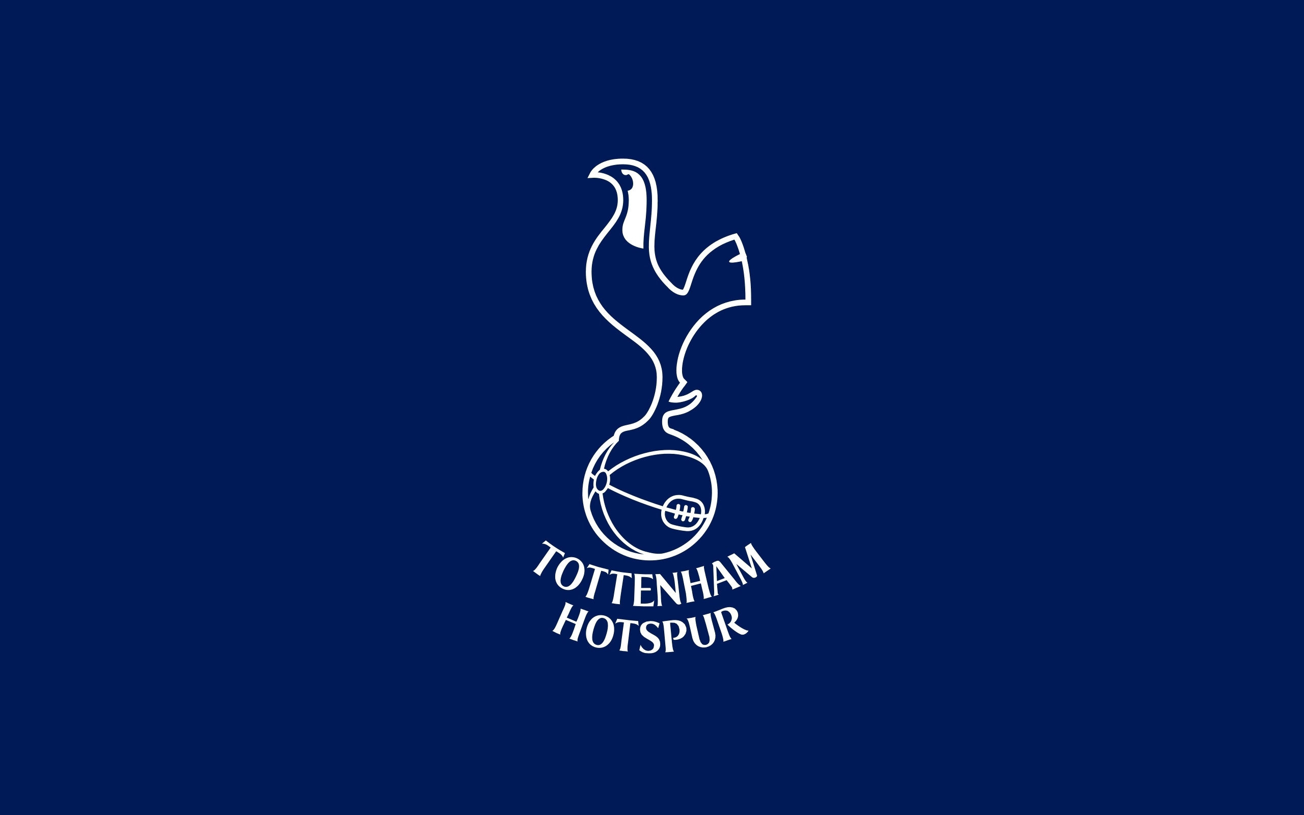 Tottenham Hotspur Primary logo t shirt iron on transfers...